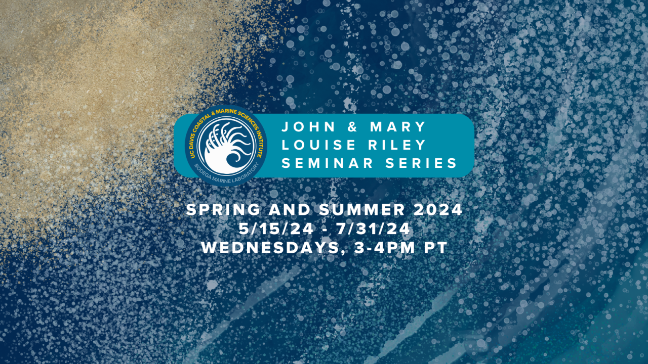 A graphic of a wave coming onto a beach, with the BML logo and the words "John and Mary Louise Riley Seminar Series" beside it. Below, it reads Spring and summer 2024 5/15/24 - 7/31/24 Wednesdays, 3-4pm PT