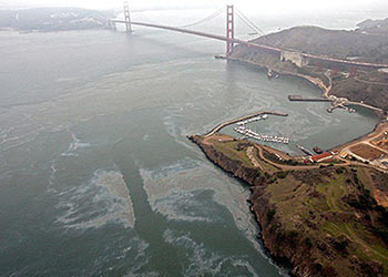 SF Bay spill