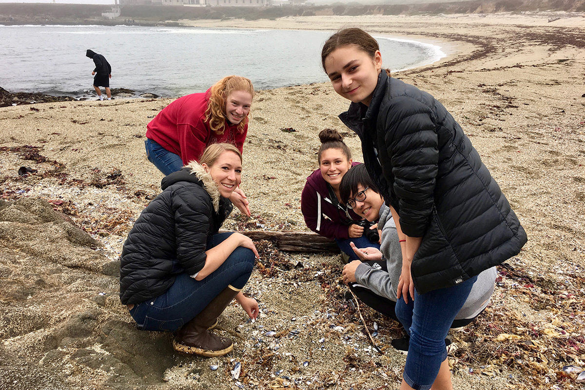 A group of 5 students gathered standing in a group on a sandy beach examining a marine organism.