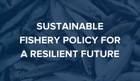 Sustainable Fishery Policy for a Resilient Future