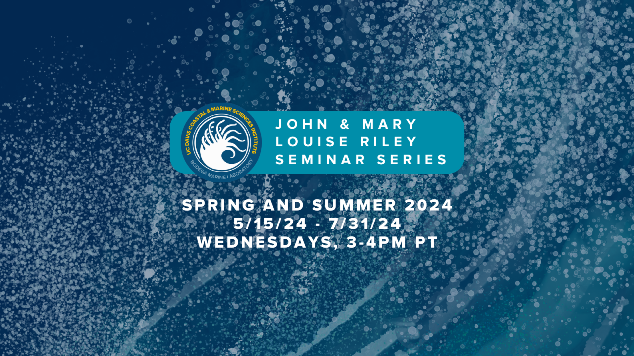 An ocean themed graphic for the BML John and Mary Louise Riley Seminar Series