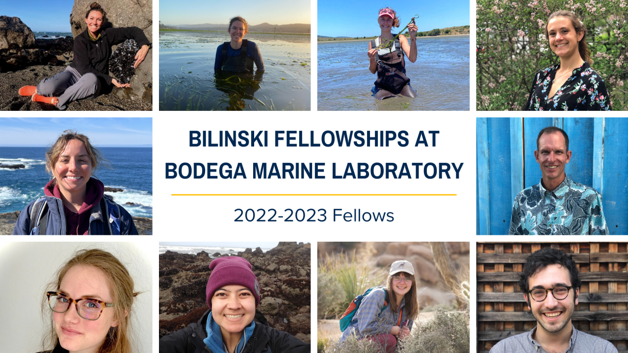 A collage of ten portrait images with a white rectangle in the center that reads "Bilinski Fellowships at Bodega Marine Laboratory 2022-2023 Fellows"