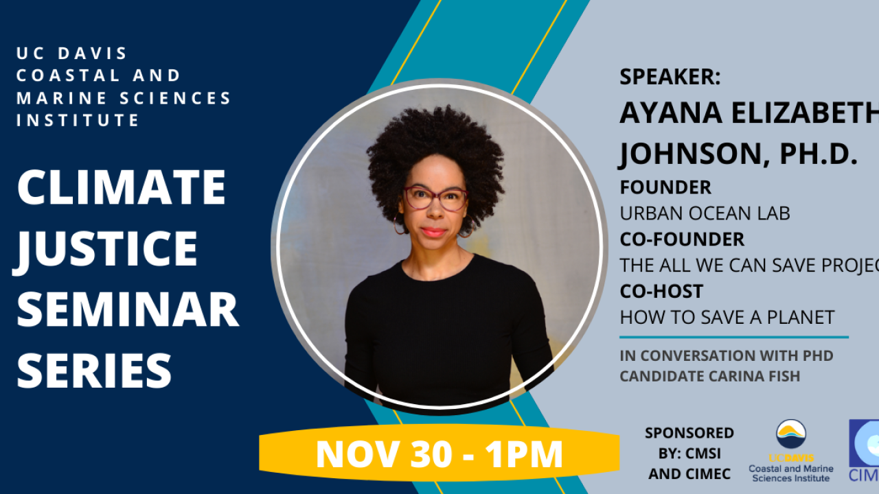 A graphic advertising the CMSI Climate Justice Seminar Series with speaker Dr. Ayana Elizabeth Johnson