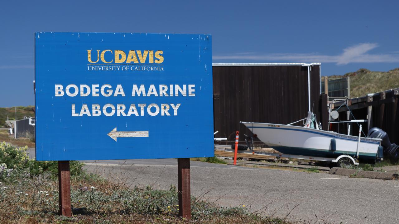 A large blue sign that reads "UC Davis Bodega Marine Laboratory" with an out of focus boat in the background.