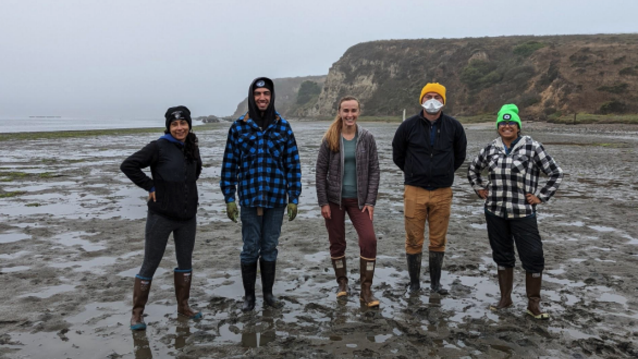 Five people posing and smiling in low tide mud flats behind oyster bags.