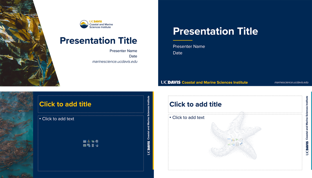 Four pages of a Powerpoint Template, showing different page layouts with photos and illustrations