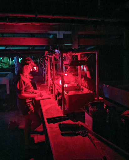 An image in shades of red and black shows a person using laboratory equipment to measure photosynthesis of coral symbionts