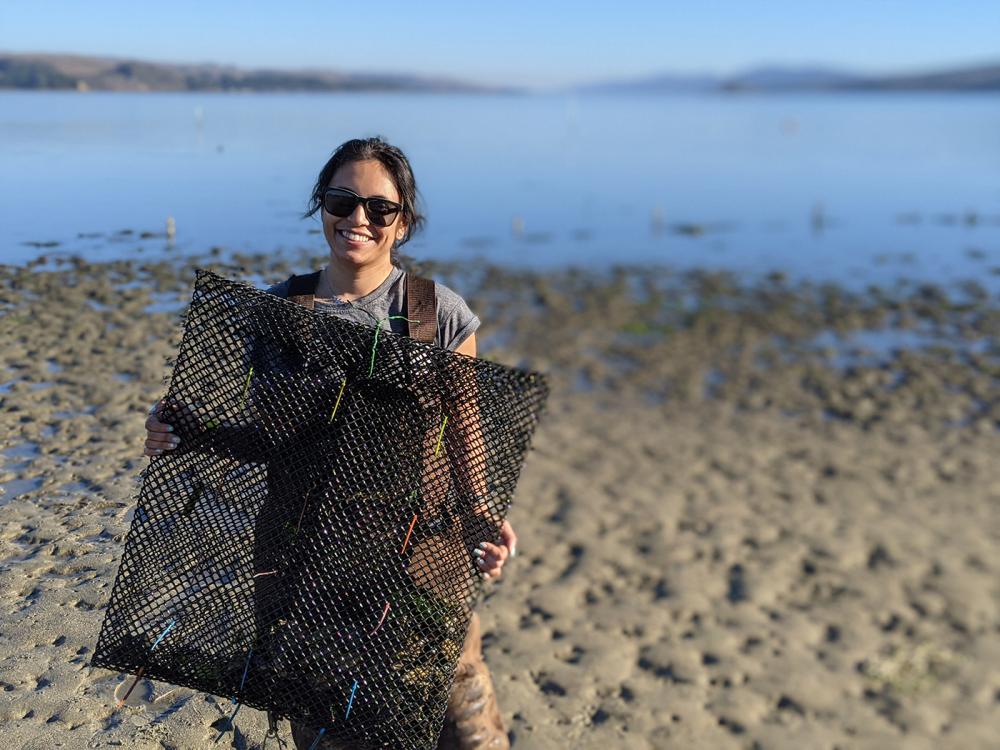 A person with dark, pulled back hair and glasses carrying a large metal oyster cage with a sandy shore in the background.