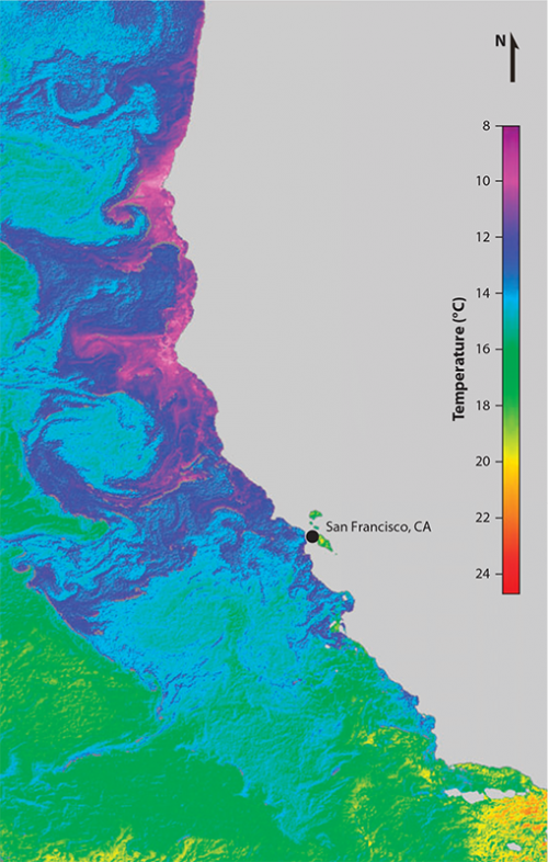 Graphic showing the differences in water temperature, pH, and nutrients associated with upwelling plumes