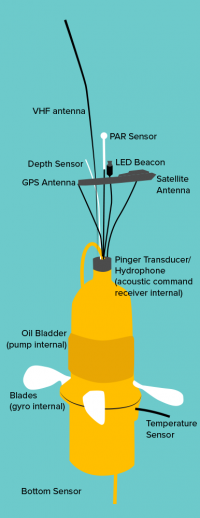 Diagram showing one of the tracking devices used in the robotic larvae research experiment.