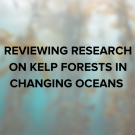 Reviewing Research on Kelp Forests in Changing Oceans