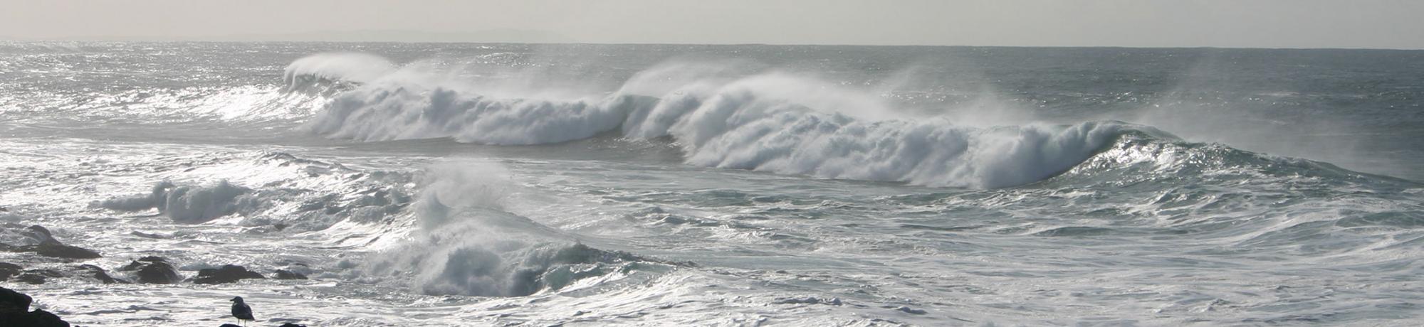 Waves, Photo Credit: Jackie Sones